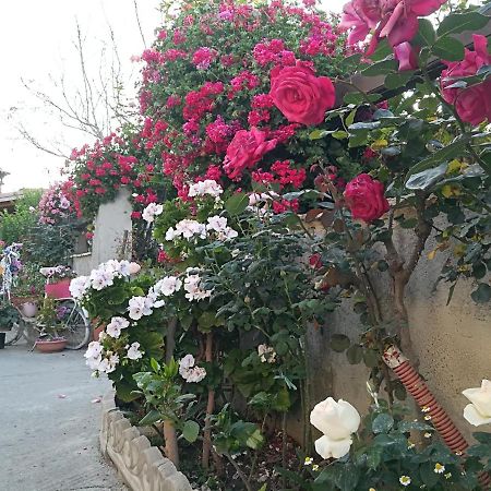 Villa Delle Rose Bova Marina Buitenkant foto