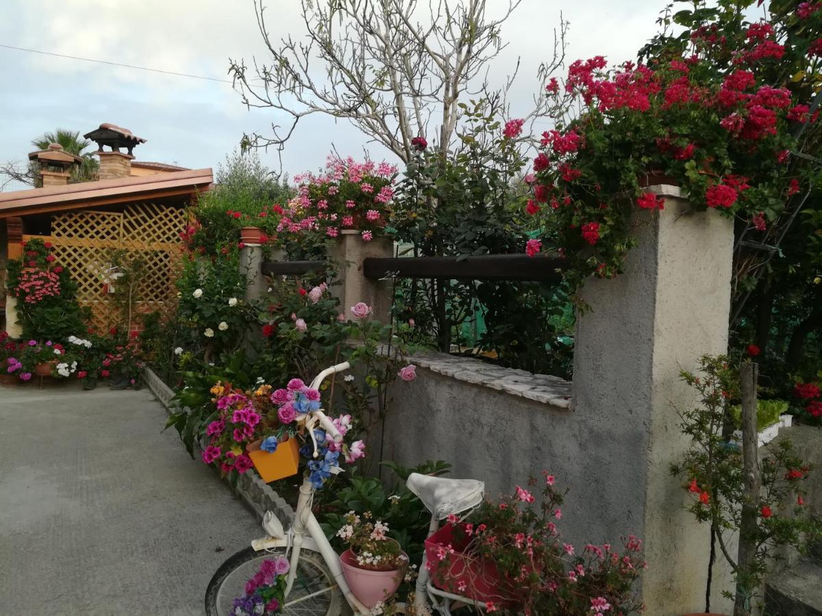 Villa Delle Rose Bova Marina Buitenkant foto