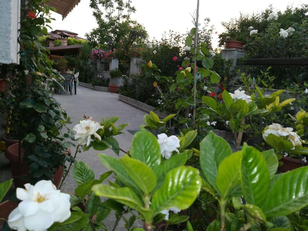 Villa Delle Rose Bova Marina Buitenkant foto