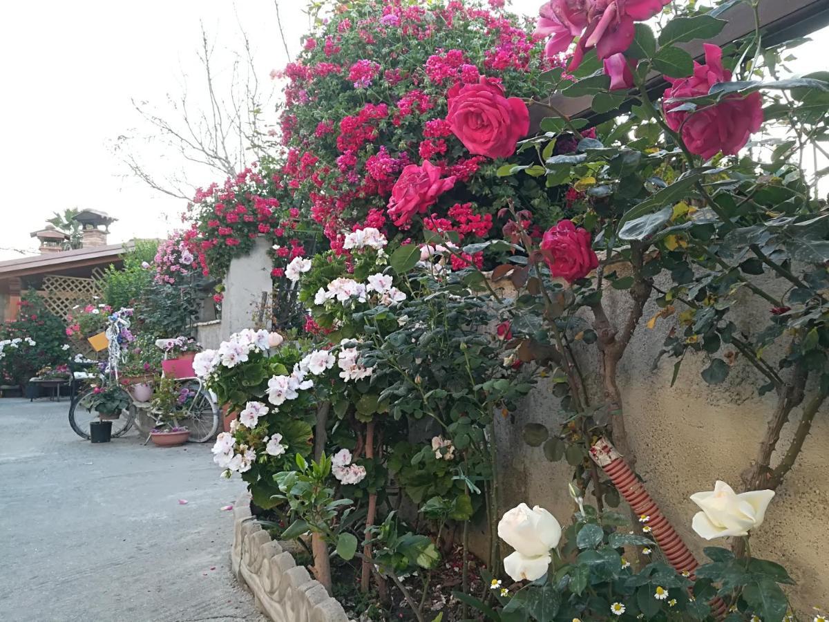 Villa Delle Rose Bova Marina Buitenkant foto