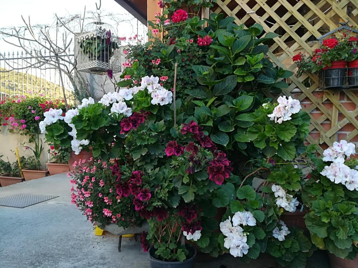 Villa Delle Rose Bova Marina Buitenkant foto