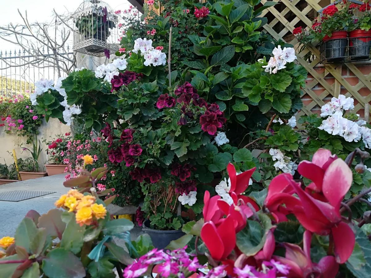 Villa Delle Rose Bova Marina Buitenkant foto